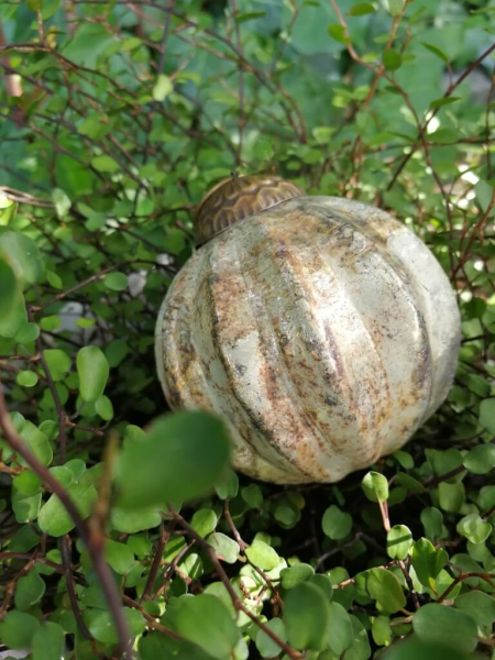 Christbaumkugel Melone, antik weiß