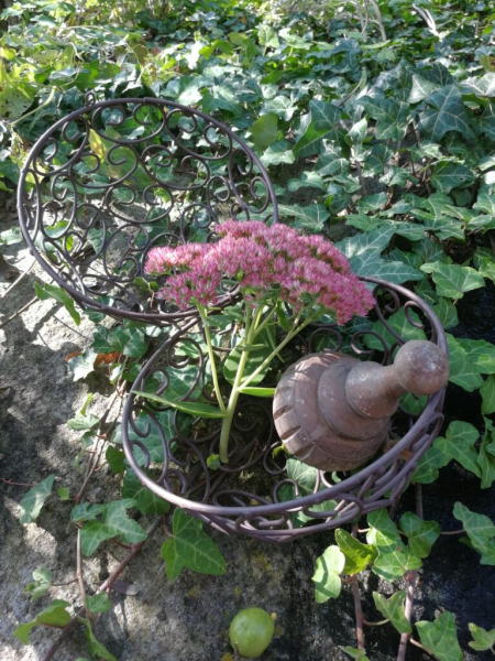 Dekokugel Rokko zum Aufklappen