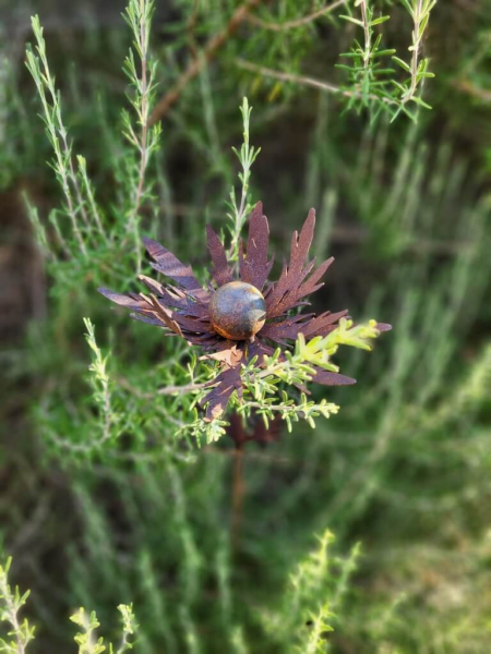Edelrost Distel am Stab