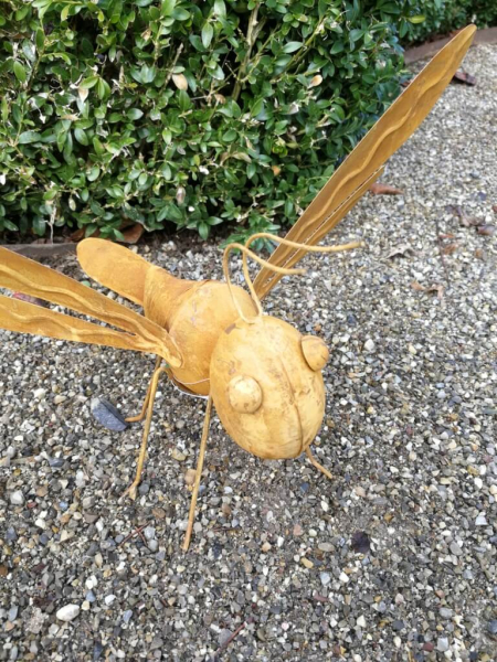 Edelrost Libelle Marlies 3D