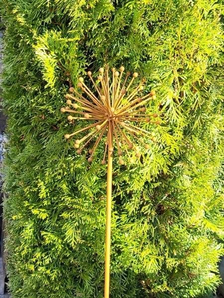 Edelrost Blume Allium (Kugellauch) 3D, verblüht