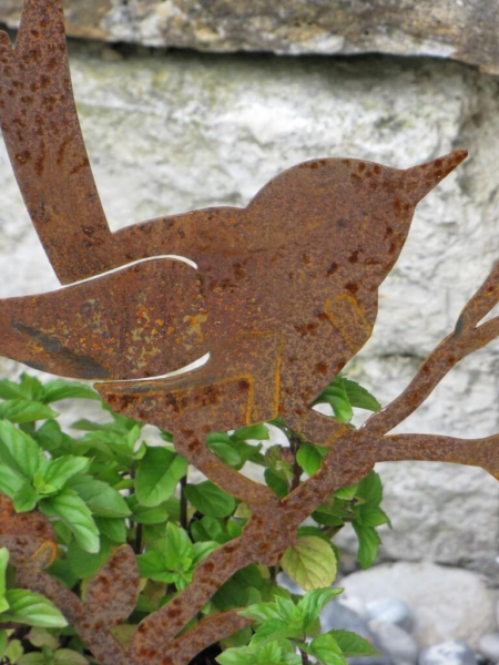 Edelrost Amsel auf Zweig zum Stecken