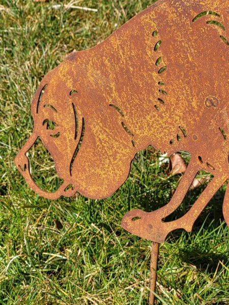 Edelrost Beagle, zum Stecken