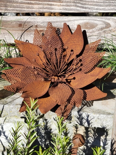 Edelrost Blume Adele