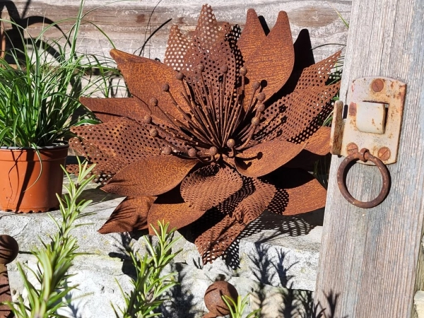 Edelrost Blume Adele