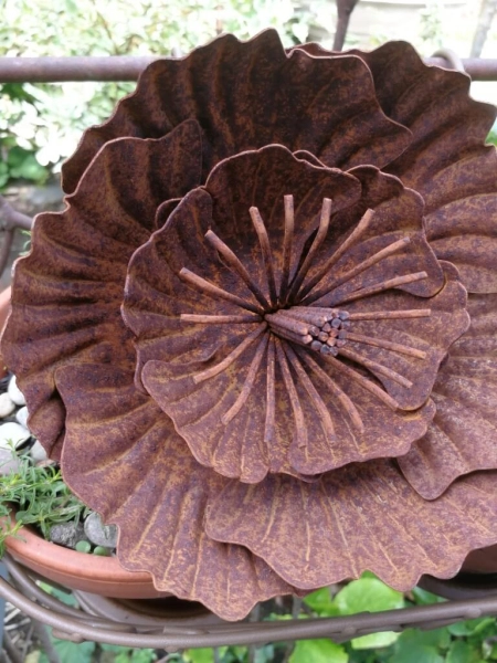 Edelrost Blume Agneta, klein