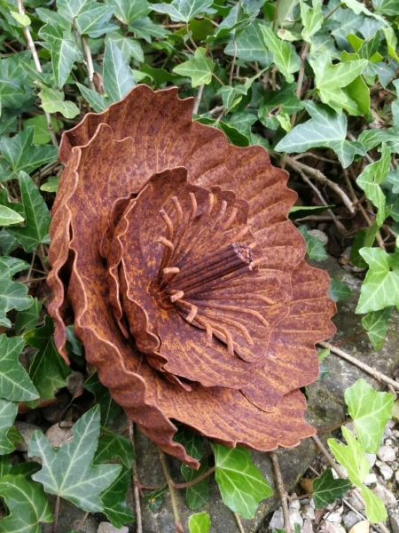 Edelrost Blume Agneta, klein