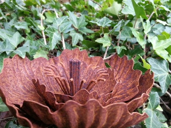 Edelrost Blume Agneta, klein
