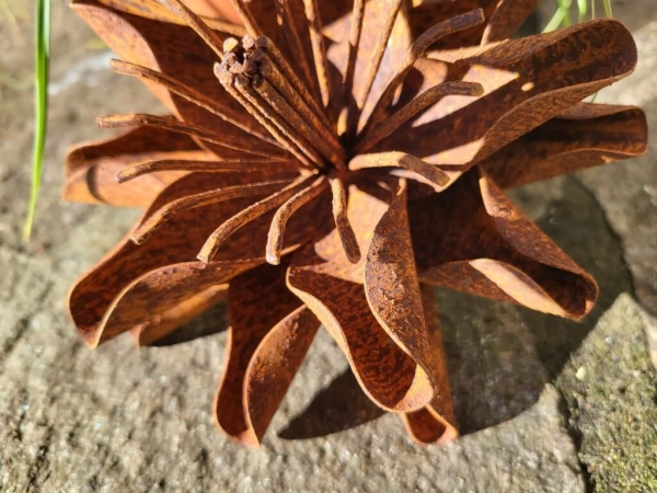 Edelrost Blume Anouke, klein