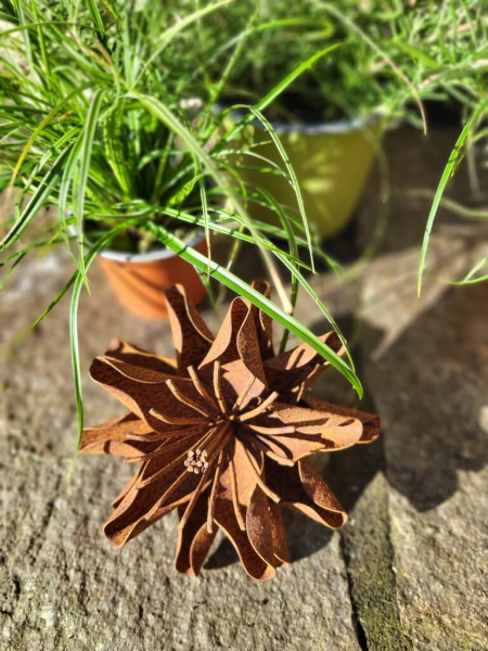 Edelrost Blume Anouke