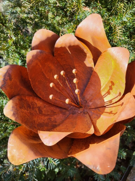 Edelrost Blume Camille