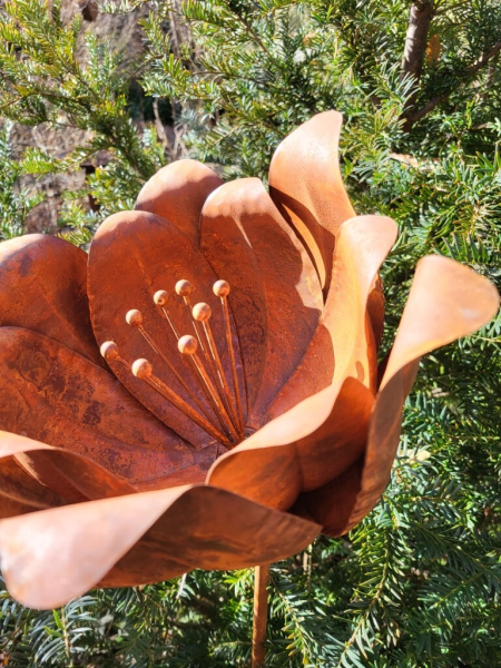 Edelrost Blume Camille