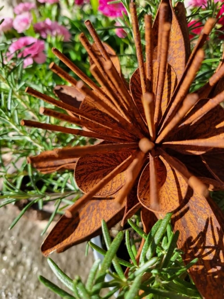 Edelrost Blume Chloe, klein