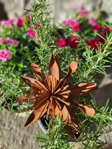 Edelrost Blume Chloe, klein