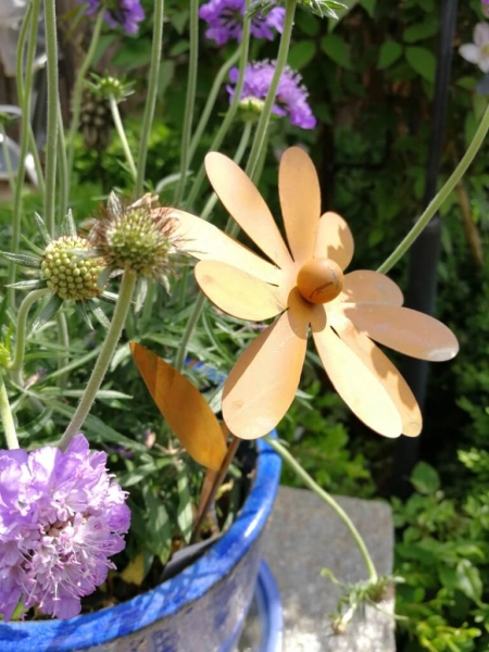 Edelrostoptik Topfstecker Blume Chrissi