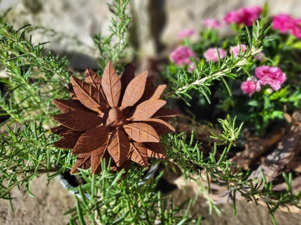 Edelrost Blume Claire, klein