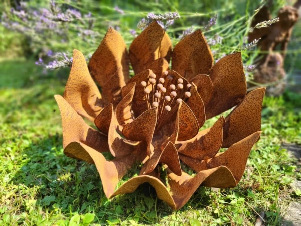 Edelrost Blume Daphne