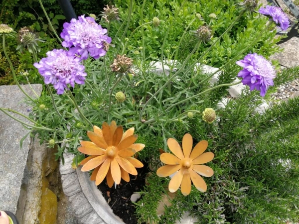 Edelrostoptik Topfstecker Blume Chrissi