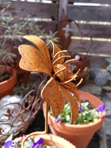 Edelrostoptik Blume Elke, gedrehter Stab