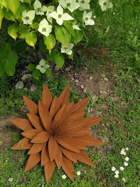 Edelrost Blume Erika