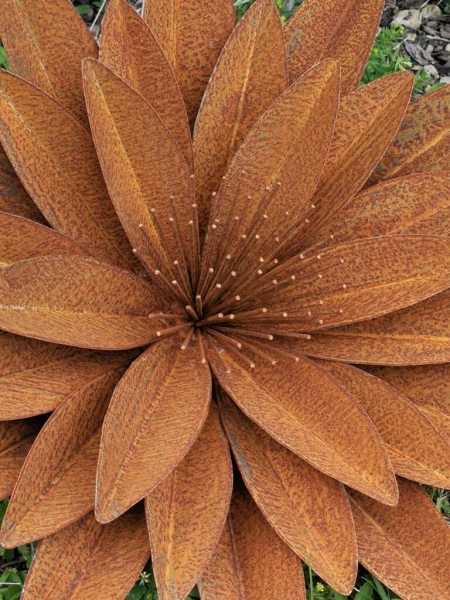 Edelrost Blume Erika