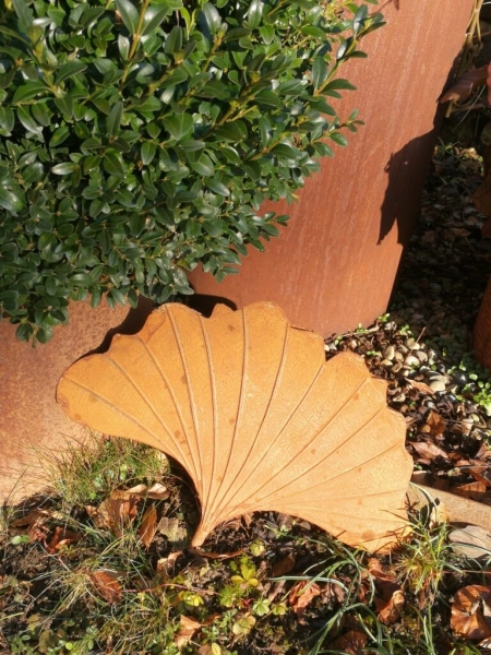 Edelrost Ginkgo 3D