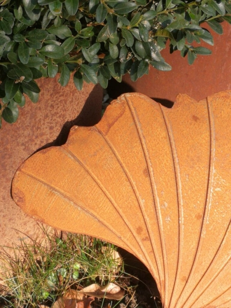 Edelrost Ginkgo 3D