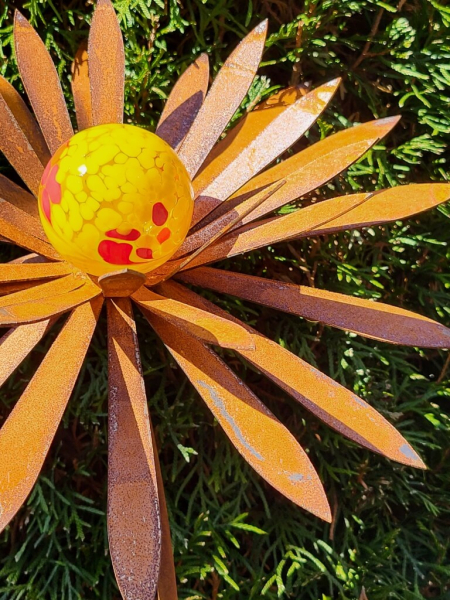 Edelrost Blume Ilonka, spitze Blätter
