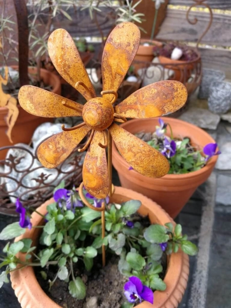 Edelrostoptik Blume Isabella, gedrehter Stab