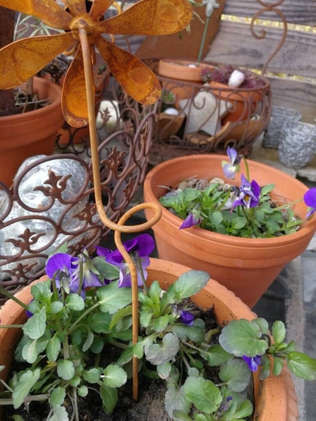 Edelrostoptik Blume Isabella, gedrehter Stab