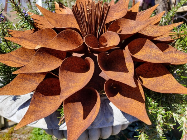 Edelrost Blume Kimani