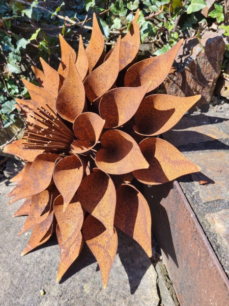 Edelrost Blume Kimani