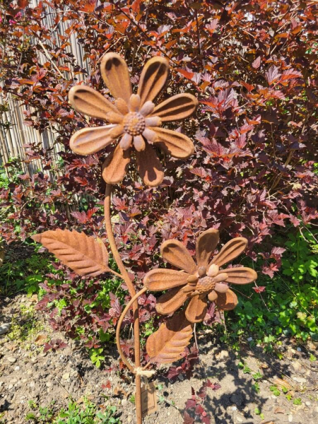 Edelrost 2er Blüte Marina, mit Windradfunktion