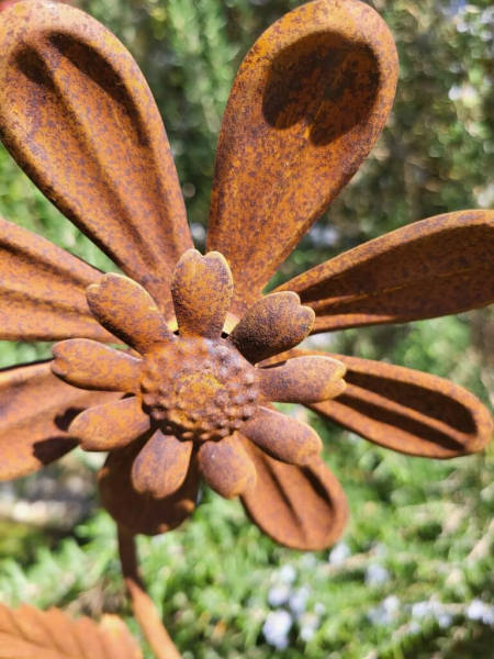 Edelrost 2er Blüte Marina, mit Windradfunktion
