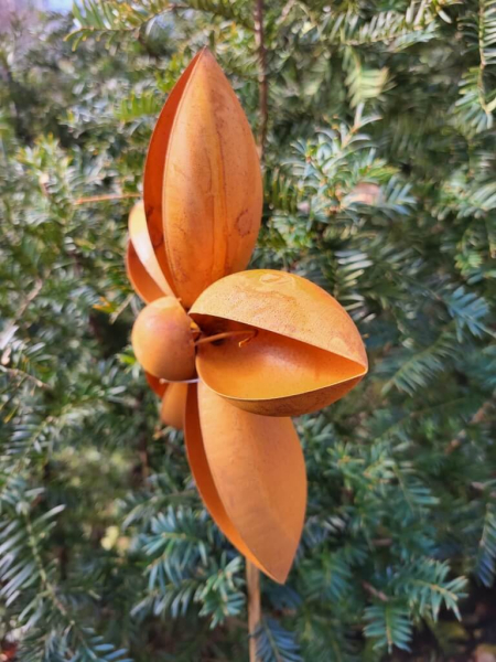 Edelrost Blume Rosalinde zum Stecken