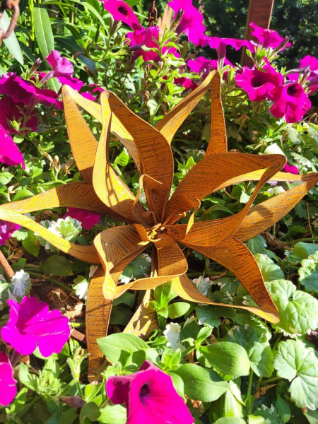 Edelrost Blume Rosemarie, offen