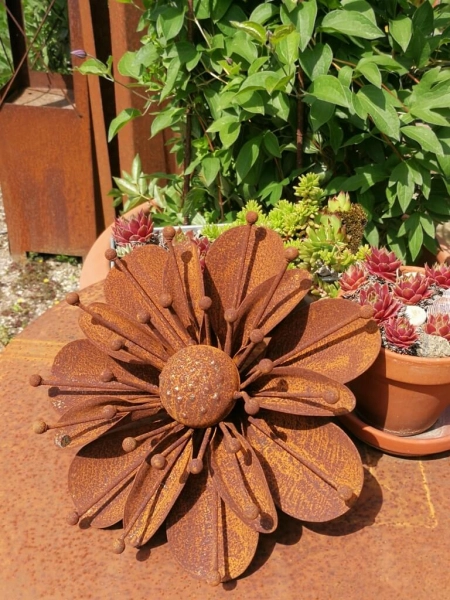 Edelrost Blume Sarah