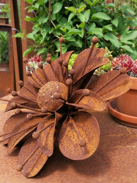 Edelrost Blume Sarah