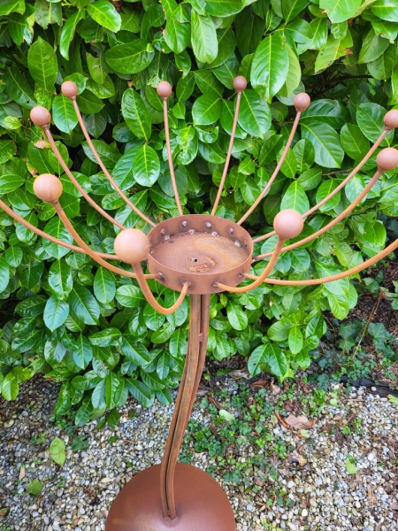 Edelrost Solarblume Sommernachtstraum, weiß