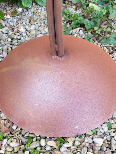 Edelrost Solarblume Sommernachtstraum, weiß