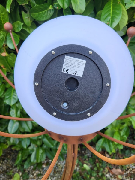 Edelrost Solarblume Sommernachtstraum, weiß