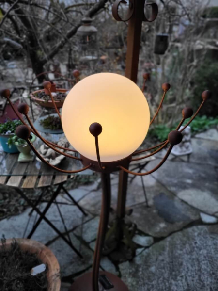 Edelrost Solarblume Sommernachtstraum, weiß