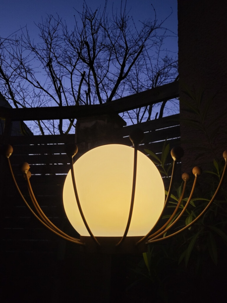 Edelrost Solarblume Sommernachtstraum, weiß