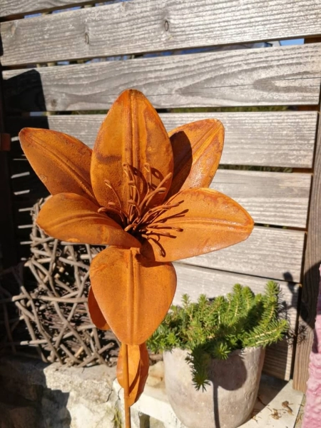 Edelrostoptik Blume Lilie, Susan (kleine Blätter)