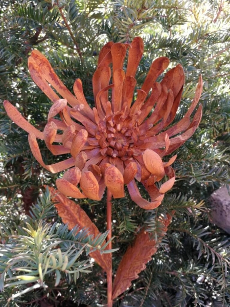 Edelrostoptik Blume Chrysantheme, Valerian (gezackte Blätter)