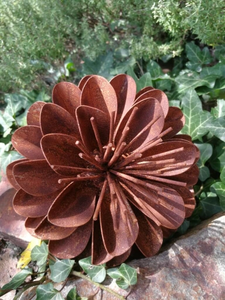 Edelrost Blume Valesca, klein