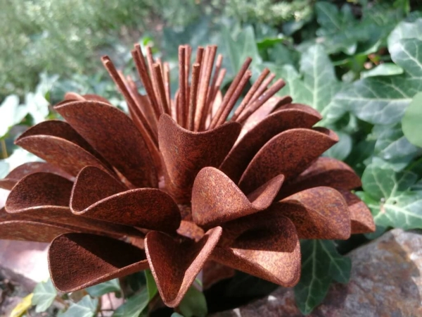 Edelrost Blume Valesca, klein