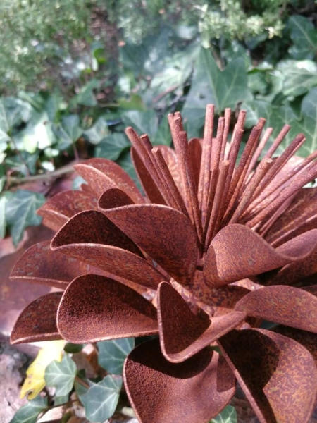 Edelrost Blume Valesca, klein