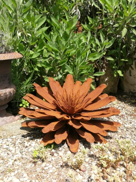 Edelrost Blume Vanessa