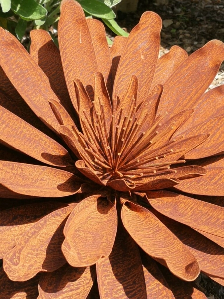 Edelrost Blume Vanessa